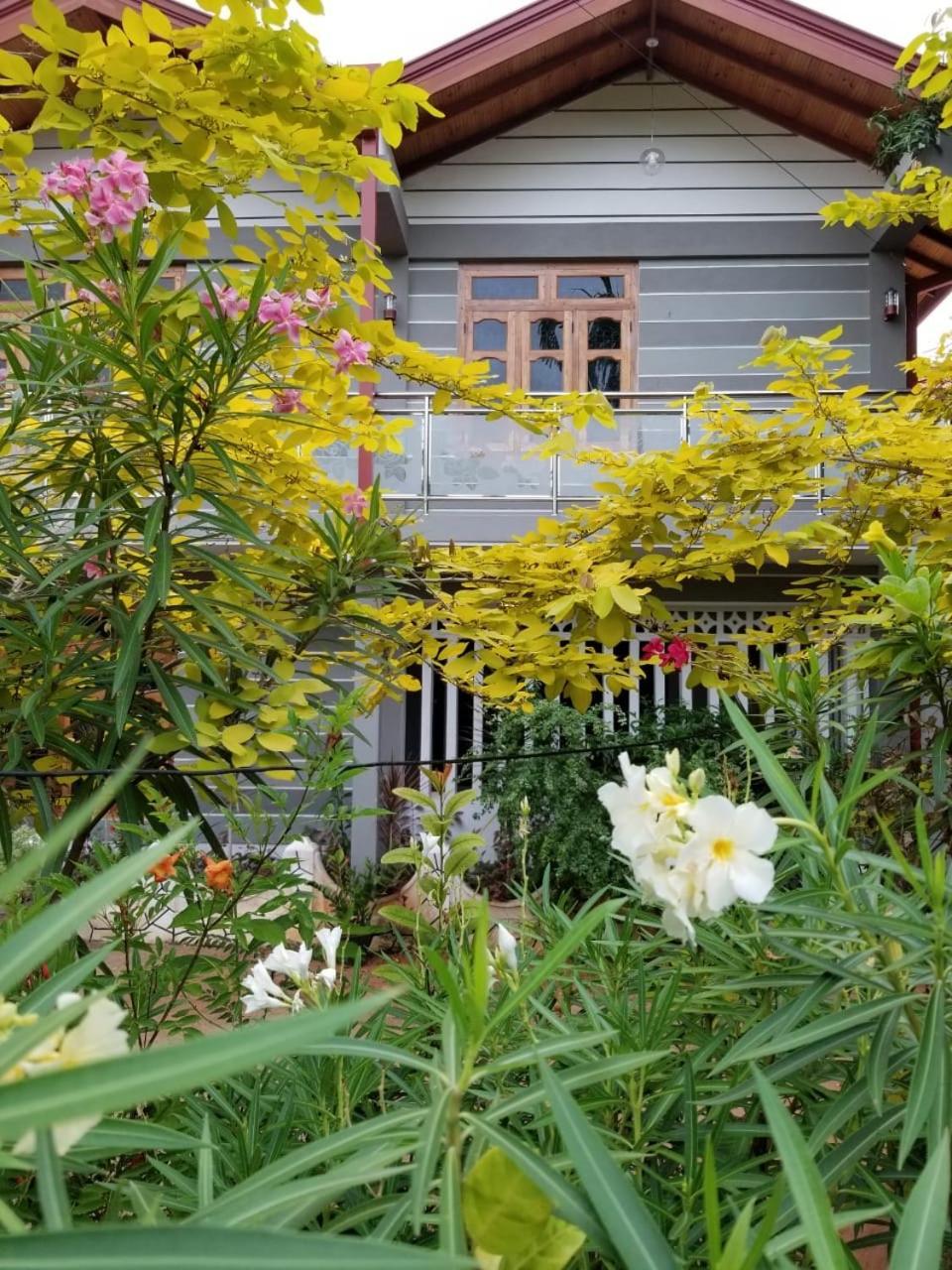 Berty'S Cottage Jaffna Exteriör bild